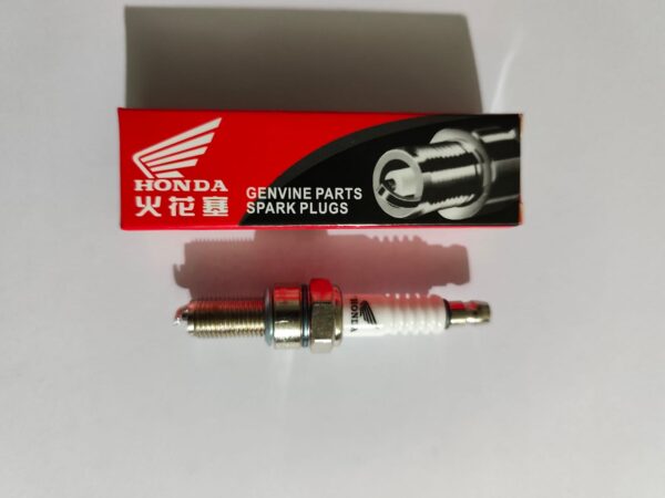 C7 Plug China